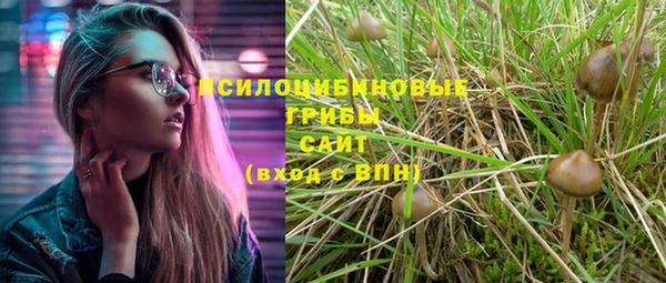 дмт Абдулино