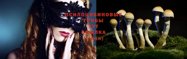 винт Абинск